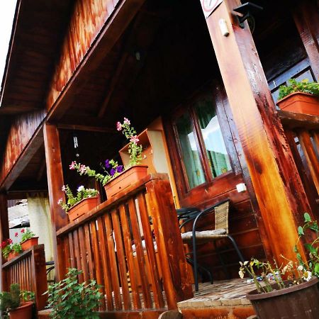 Hôtel Casa Bunicilor à Călimăneşti Extérieur photo
