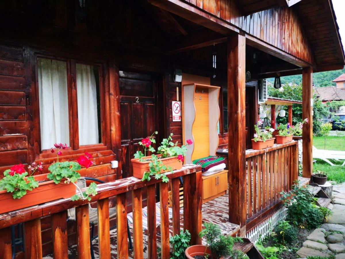 Hôtel Casa Bunicilor à Călimăneşti Extérieur photo
